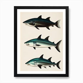Mako Shark Vintage Poster Art Print