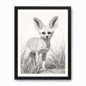 Fennec Fox In A Field Pencil Drawing 3 Art Print