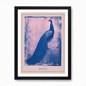 Pink & Blue Peacock Cyanotype Style 3 Poster Art Print