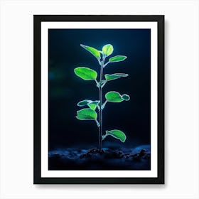 Young Green Plant On A Dark Background Art Print