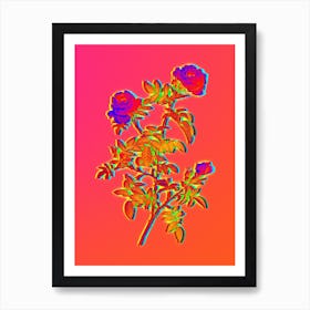 Neon Rose of the Hedges Botanical in Hot Pink and Electric Blue n.0278 Art Print