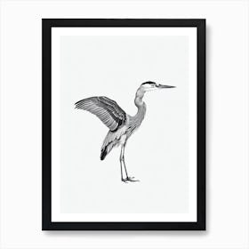 Great Blue Heron B&W Pencil Drawing 1 Bird Art Print