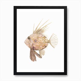 Sea Life John Dory Art Print