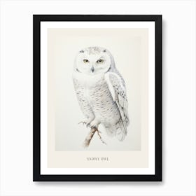 Vintage Bird Drawing Snowy Owl 4 Poster Art Print