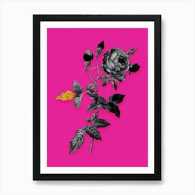 Vintage Provence Rose Black and White Gold Leaf Floral Art on Hot Pink n.1022 Art Print