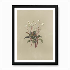 Tulip Flower Art Print