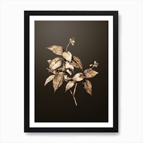 Gold Botanical Tradescantia Erecta on Chocolate Brown Art Print