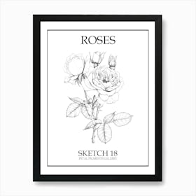 Roses Sketch 18 Poster Art Print