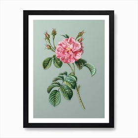 Vintage Pink Wild Rose Botanical Art on Mint Green n.0252 Art Print