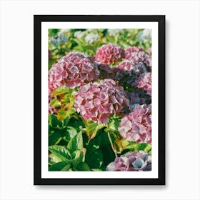 Cannon Beach Blooms III on Film Art Print