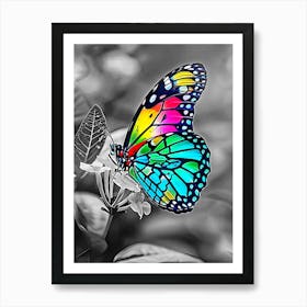 Colorful Butterfly Art Print