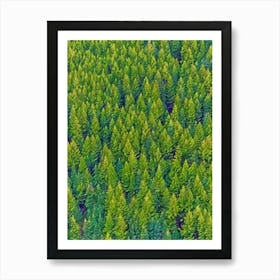 Verdant Canopy Lush Pine Forest In Vibrant Green Hues Art Print