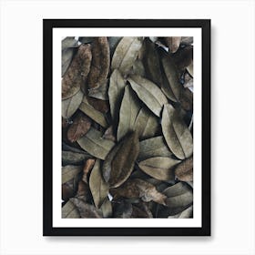 Dried Leaves Art Print