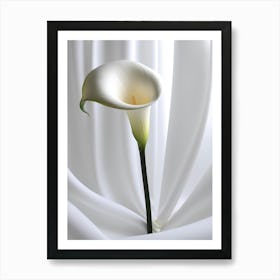 Calla Lily 9 Art Print