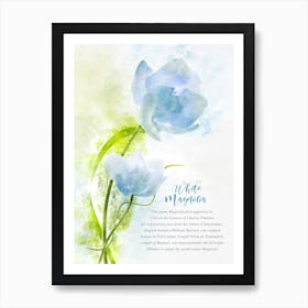 White Magnolia 1 Art Print