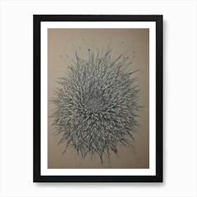 'Sunflower' Art Print