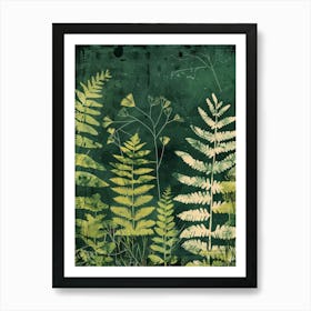 Ferns 1 Art Print