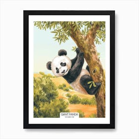 Giant Panda Climbing A Tree Poster 3 Art Print