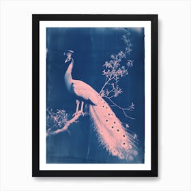 Peacock In The Tree Cyanotype Inspired 5 Art Print