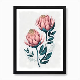 Minimal Pink Venus Protea Flower Painting (2) Art Print