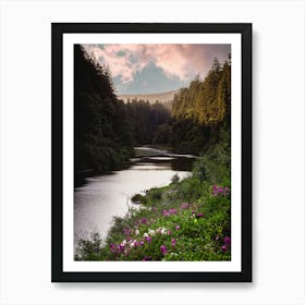 Redwood National Park River and Flowers Art Print