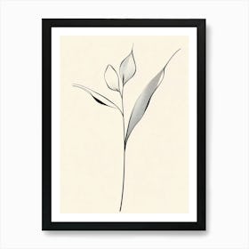 Eucalyptus 2 Art Print