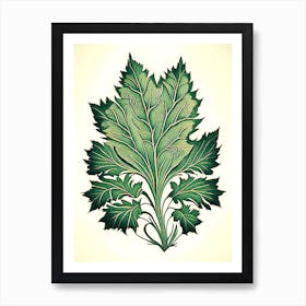 Skullcap Leaf Vintage Botanical 1 Art Print