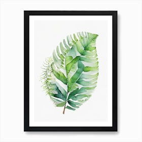 Soft Shield Fern 1 Watercolour Affiche