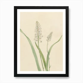 Hyacinth 1 Art Print