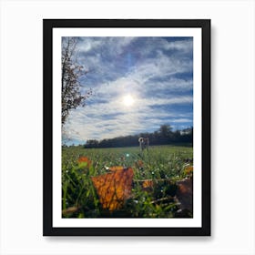 Autumn Leaves In A Field 3 Poster