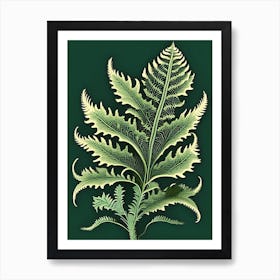 Ruffled Fern Vintage Botanical Poster Art Print