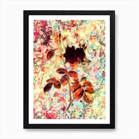 Impressionist Autumn Damask Rose Botanical Painting in Blush Pink and Gold Art Print