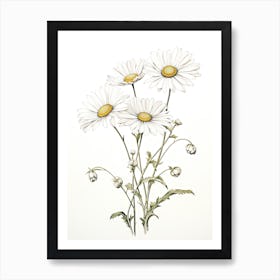 Daisies Flower Vintage Botanical 2 Art Print