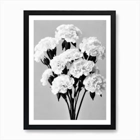 Carnations B&W Pencil 7 Flower Poster