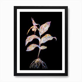 Stained Glass Yellow Lady's Slipper Orchid Mosaic Botanical Illustration on Black Art Print