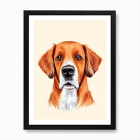 English Setter Illustration Dog Art Print