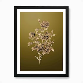 Gold Botanical Burgundy Cabbage Rose on Dune Yellow n.3650 Art Print