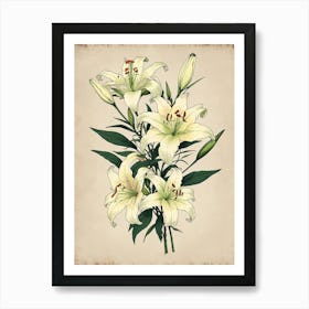 White Lilies Art Print