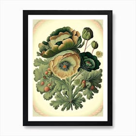 Ranunculus Floral 2 Botanical Vintage Poster Flower Art Print