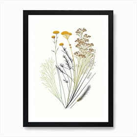 Caraway Spices And Herbs Minimal Line Drawing 5 Art Print