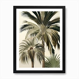 Palmfeathers2 Art Print