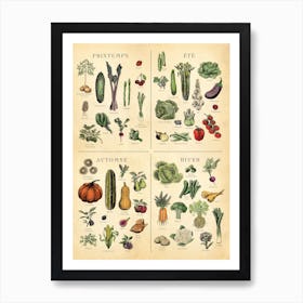 French Seasonal Veg Chart Art Print