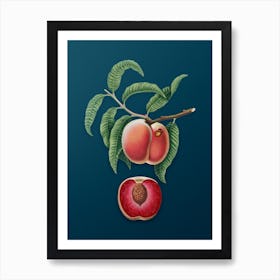 Vintage Carrot Peach Botanical Art on Teal Blue n.0132 Art Print