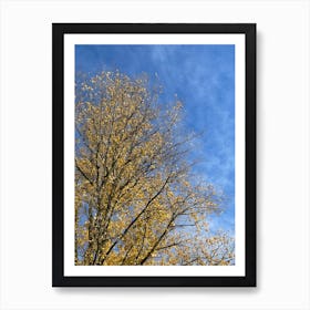 Autumn Tree Against Blue Sky 1 Art Print