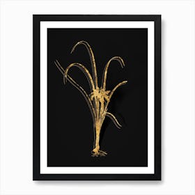 Vintage Grass Leaved Iris Botanical in Gold on Black n.0161 Art Print