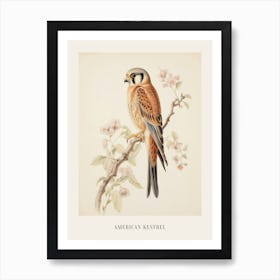 Vintage Bird Drawing American Kestrel 2 Poster Art Print