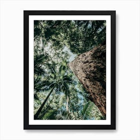 Tree Trunk From Below Art Print