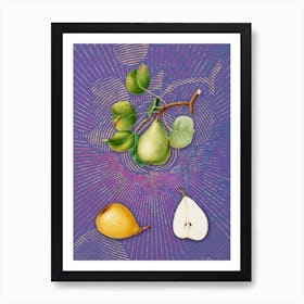 Vintage Pear Botanical Illustration on Veri Peri n.0511 Art Print