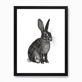 English Spot Blockprint Rabbit Illustration 4 Art Print
