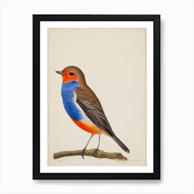 European Robin Illustration Bird Art Print